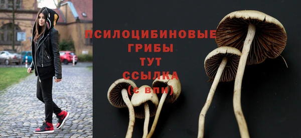мяу мяу кристалл Елизово
