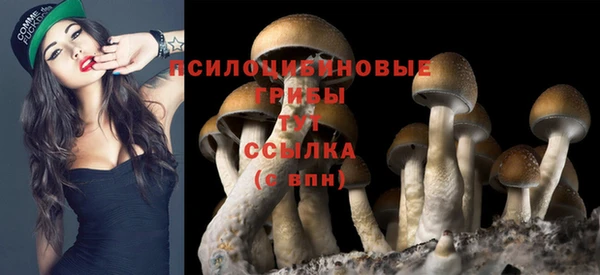 мяу мяу кристалл Елизово