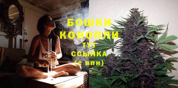 амф Дмитриев