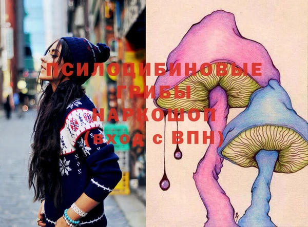 дживик Дмитровск