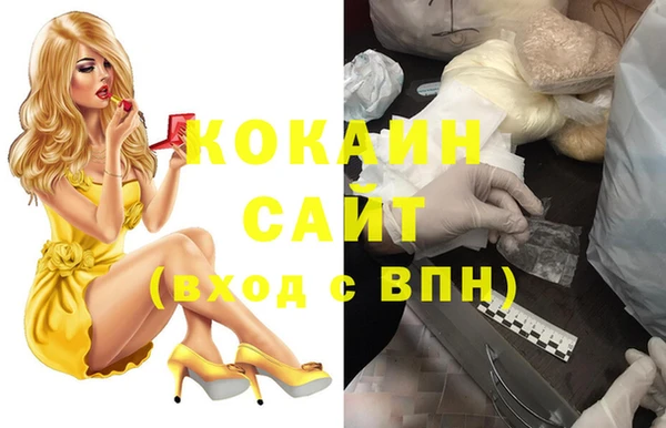крисы Дмитров